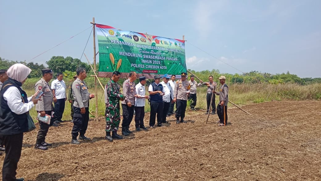 PENANAMAN JAGUNG SERENTAK