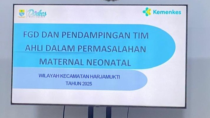 Pendampingan
Tim Ahli ke Puskesmas dan FKTP Lainnya dalam Pelayanan KIA,
Kegawatdaruratan dan Sistem Rujukan Neonatal.