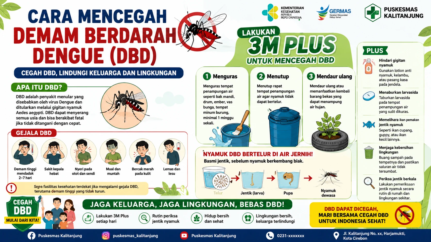 Cara Mencegah Demam Berdarah Dengue (DBD): Lindungi Keluarga dengan Gerakan 3M Plus