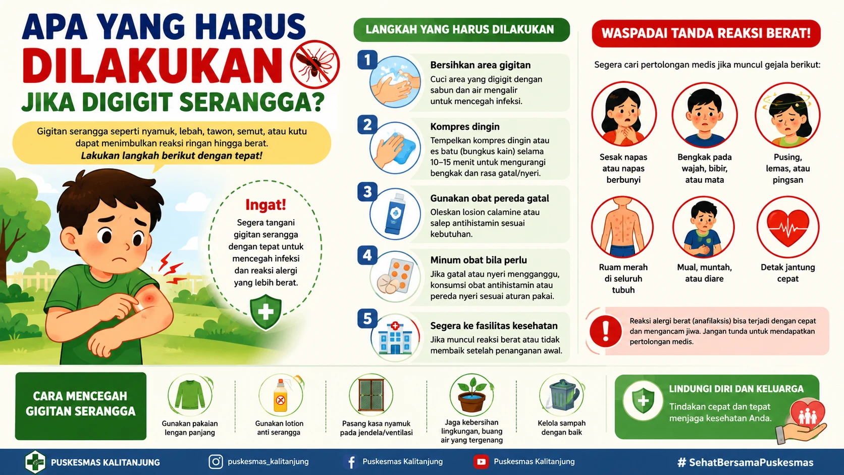 Apa yang Harus Dilakukan Jika Digigit Serangga